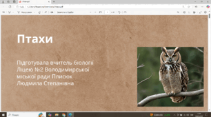 Презентація. Птахи