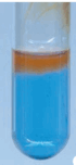 0800d0c1-d0d7-70x152.png