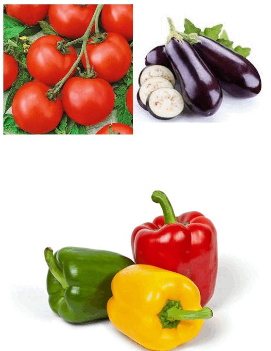 https://fs03.vseosvita.ua/0300ikf3-90c5-558x723.png