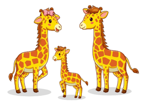 0800d5fs-7f7d-512x366.png