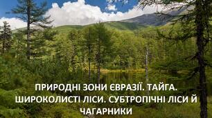 Презентація до уроку: "ПРИРОДНІ ЗОНИ ЄВРАЗІЇ. ТАЙГА. ШИРОКОЛИСТІ ЛІСИ. СУБТРОПІЧНІ ЛІСИ Й ЧАГАРНИКИ"
