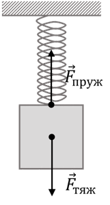 0800d82e-3044-161x299.png