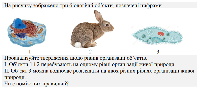 0800d9q9-a056-834x369.png