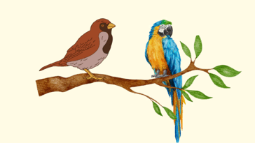 0800db7h-7390-364x205.png