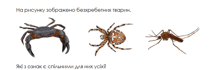 0800dc7w-e6a5-705x233.png