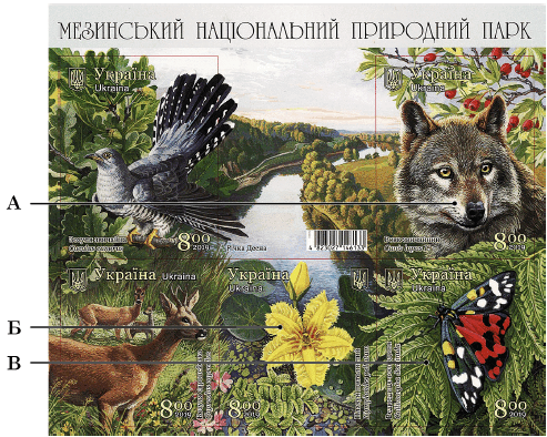0800dgcv-428b-493x394.png