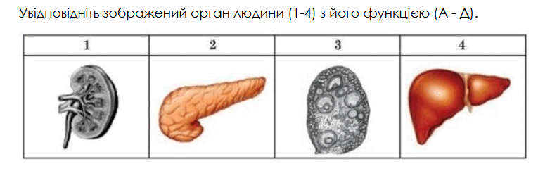 0800dgkd-5441-765x243.png
