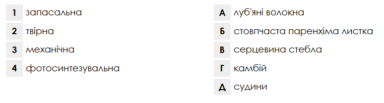 0800dgkt-5011-774x208.png