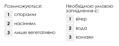 0800dgn1-3564-407x160.png