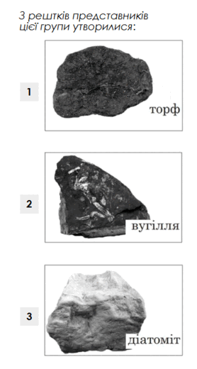 0800dgn3-56cb-278x520.png