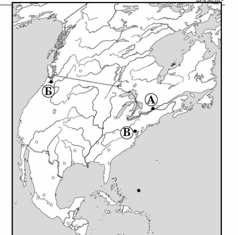 0800dimn-27af-490x485.png