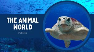 The Animal World
