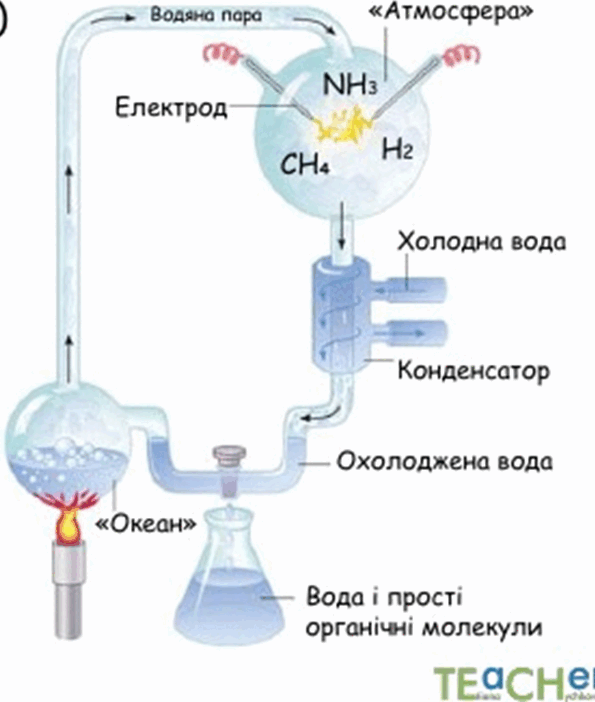 0800drda-120b-595x702.png