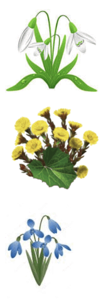0800dv0t-125b-205x612.png