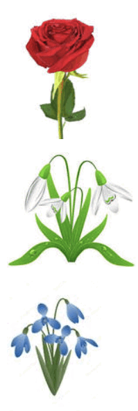 0800dv14-d8ce-199x591.png