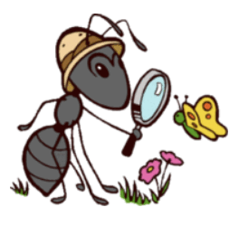 0800dvqs-0517-264x250.png