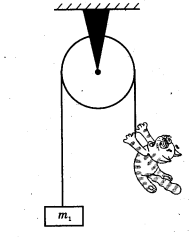 0800dx8m-8be3-189x237.png