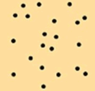 0800e1s3-565d-139x133.png