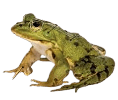 0800e3h9-d28d-238x202.png