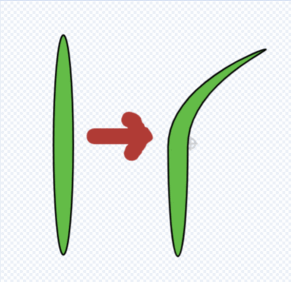 0800ecjb-f29d-291x282.png