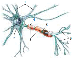 0800ecp2-c5ce-253x202.png