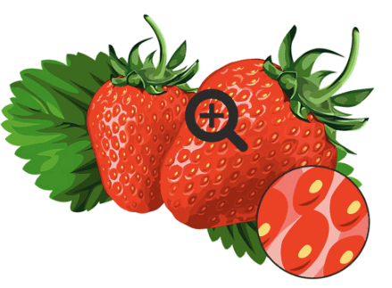 0800ed4o-82e9-439x323.png