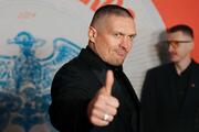 Науковці розкритикували дисертацію Усика