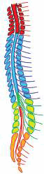 0800edaq-c280-63x249.png