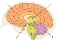 0800edu4-59fe-214x134.png