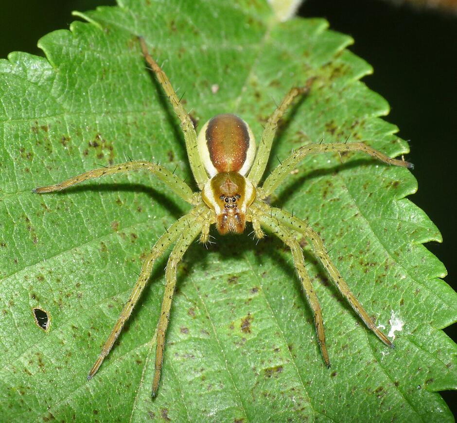 0800eeo5-05e9-940x870.jpg
