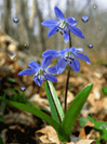 0800eh5p-6337-99x133.png