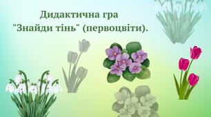 Дидактична гра "Знайди тінь" (первоцвіти)