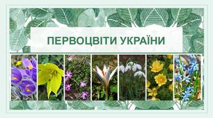Конспект уроку розвитку мовлення у 5 класі (НУШ). Твір - роздум "Чому потрібно берегти первоцвіти?"