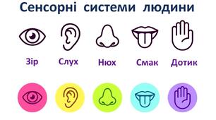  Порушення роботи сенсорних систем.