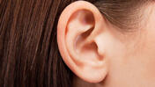 0800erb0-6928-176x99.jpg