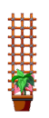 0800et78-cb0a-54x130.png