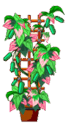 0800et7b-55d4-68x129.png