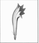 0800fcf5-349d-129x142.png