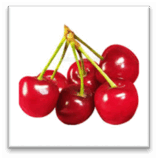 0800fcr0-4a2e-158x159.png