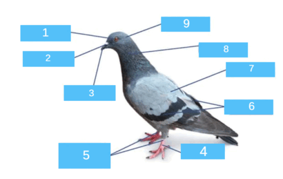 0800fef4-2c83-375x237.png