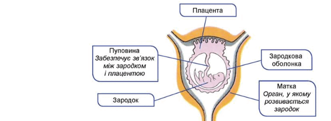 0800fhsy-c2f0-660x242.png