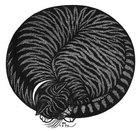 0800flne-478e-480x447.jpg
