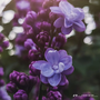 https://fs08.vseosvita.ua/0800fmmn-93e6-90x90.png
