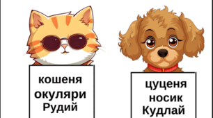 Спиши та склади книжечку.