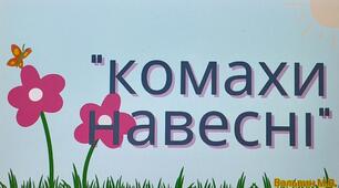 Дидактична гра "Комахи навесні"