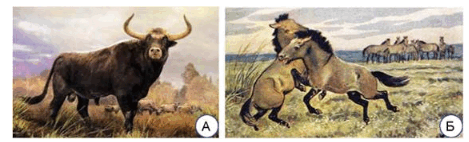 0800fnns-a46b-469x142.png
