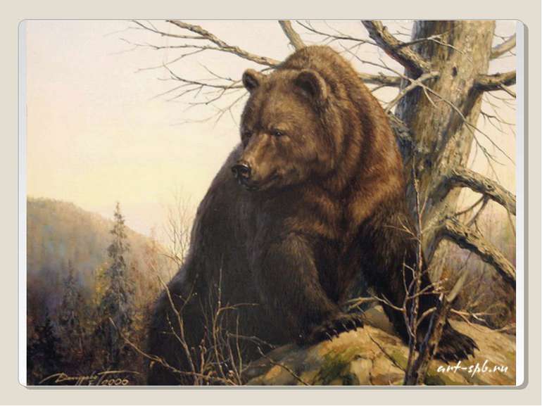 0800fo0h-0e1d-770x577.jpg