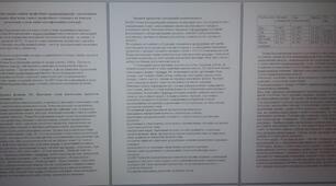 Аналітична довідка оцінки професійних компетентностей з урахуванням посадових обов'язків і вимог професійного стандарту на вчителя початкових класів вищої кваліфікаційної категорії
