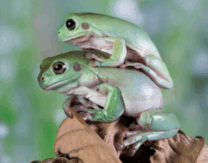 0800fq3l-3f0e-191x150.png