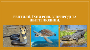 Презентація "Рептилії, їхня роль у природі та житті людини."